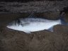 PA190207 - 