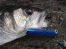 P7080257 - 
